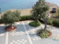 20110925_Assemble_regionale_(MONOPOLI)_084500.jpg