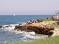 giovani_giovinazzo_20100425_101.jpg