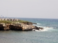 giovani_giovinazzo_20100425_102.jpg