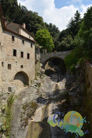 Gifraevento_adolescenti_-_Cortona,_23-27_Luglio_2014_112_(Copia).jpg