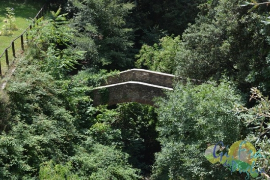 Gifraevento_adolescenti_-_Cortona,_23-27_Luglio_2014_123_(Copia).jpg