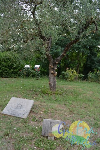 Gifraevento_adolescenti_-_Cortona,_23-27_Luglio_2014_244_(Copia).jpg
