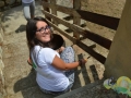 Gifraevento_adolescenti_-_Cortona,_23-27_Luglio_2014_235_(Copia).jpg